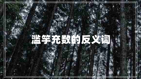 滥竽充数的反义词