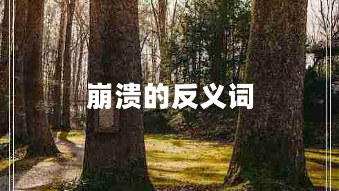 崩溃的反义词