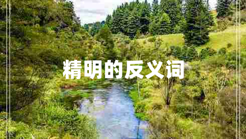 精明的反义词