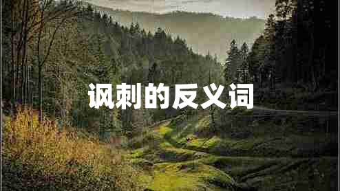 讽刺的反义词