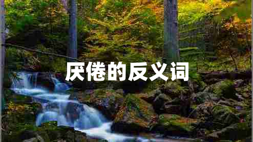 厌倦的反义词