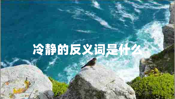 冷静的反义词是什么
