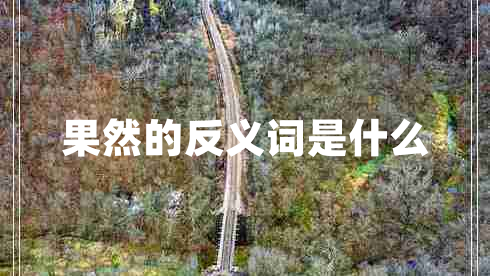 果然的反义词是什么