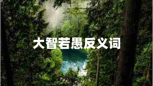 大智若愚反义词