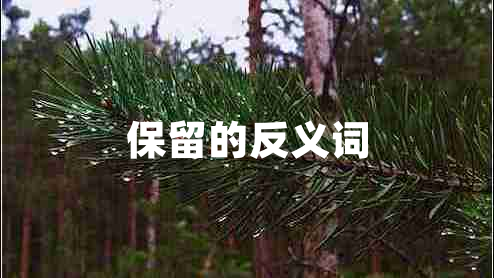 保留的反义词