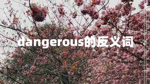 dangerous的反义词 dangerous的反义词