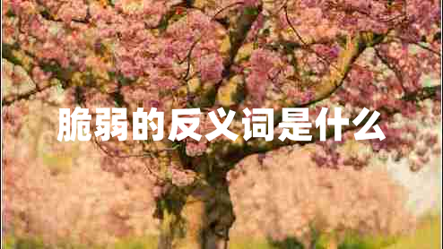 脆弱的反义词是什么