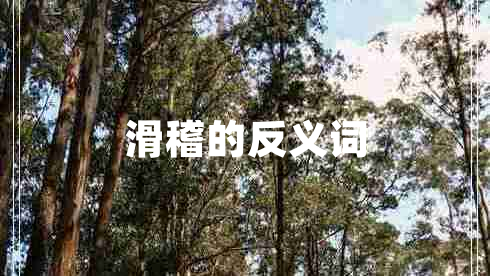 滑稽的反义词