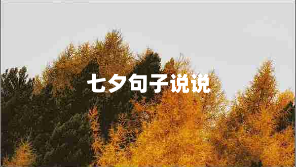 七夕句子说说