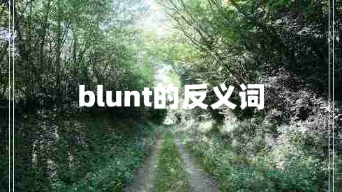 blunt的反义词