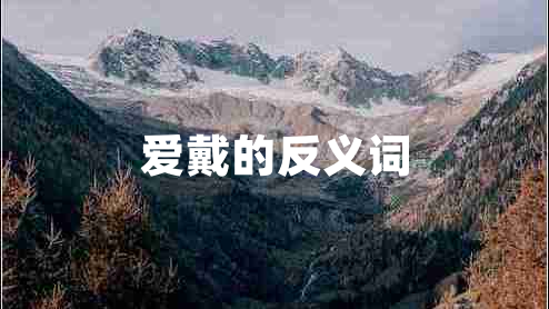 爱戴的反义词
