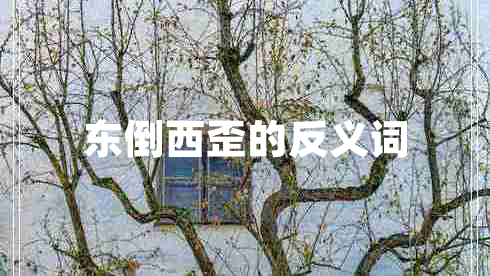 东倒西歪的反义词