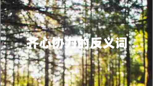 齐心协力的反义词