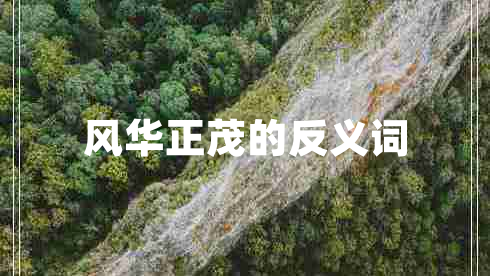 风华正茂的反义词