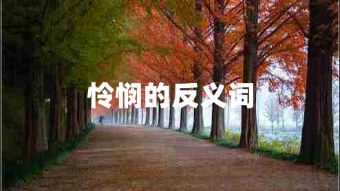 怜悯的反义词