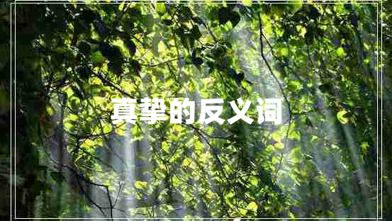 真挚的反义词