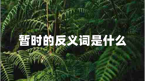 暂时的反义词是什么