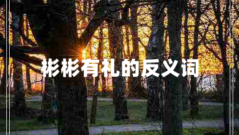 彬彬有礼的反义词