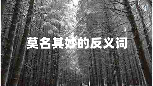 莫名其妙的反义词 莫名其妙的反义词