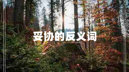妥协的反义词
