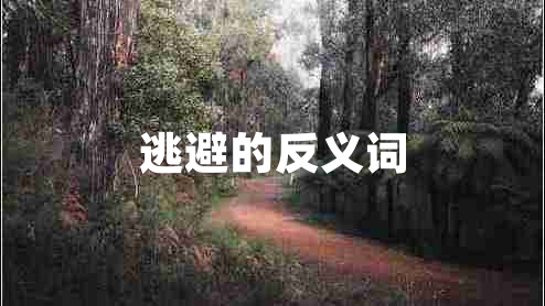 逃避的反义词