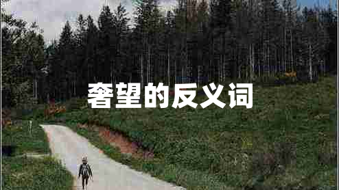 奢望的反义词