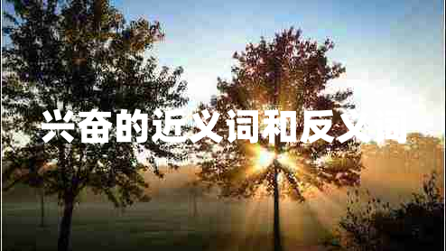兴奋的近义词和反义词