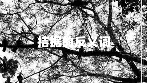 拮据的反义词