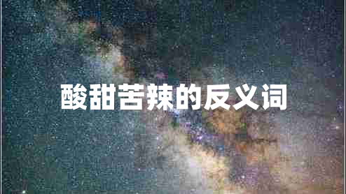 酸甜苦辣的反义词