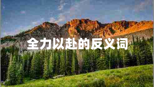 全力以赴的反义词