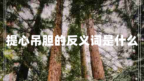 提心吊胆的反义词是什么