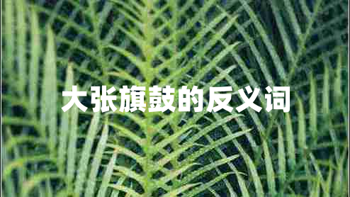 大张旗鼓的反义词
