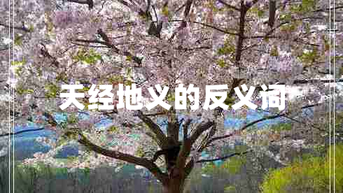 天经地义的反义词