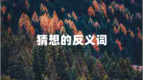 猜想的反义词