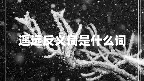 遥远反义词是什么词