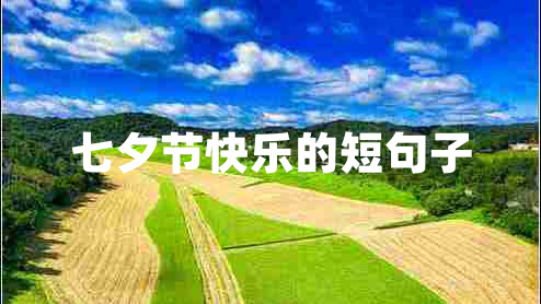 七夕节快乐的短句子