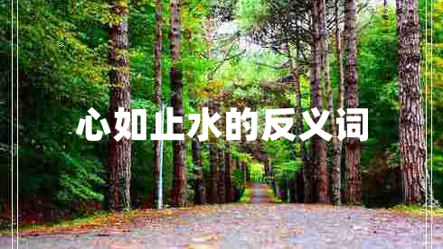 心如止水的反义词