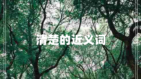 清楚的近义词