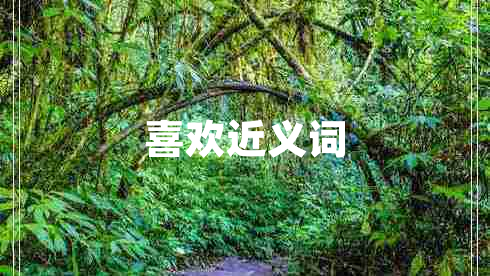 喜欢近义词