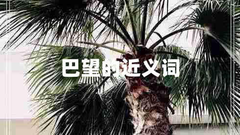 巴望的近义词