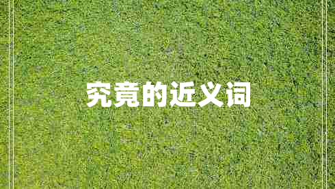 究竟的近义词
