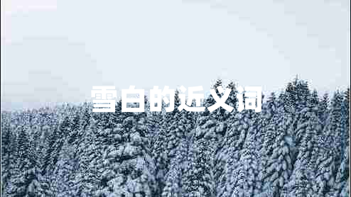 雪白的近义词