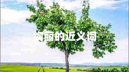 绚丽的近义词