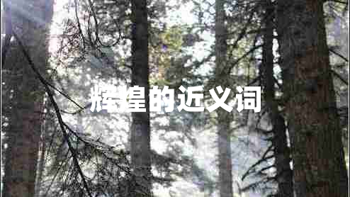 辉煌的近义词