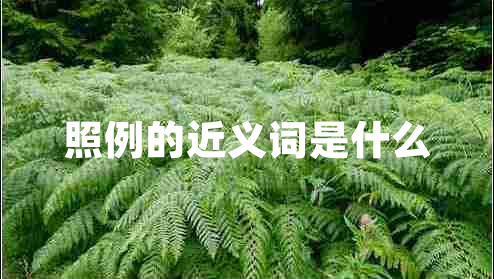照例的近义词是什么