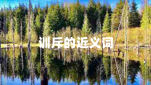 训斥的近义词