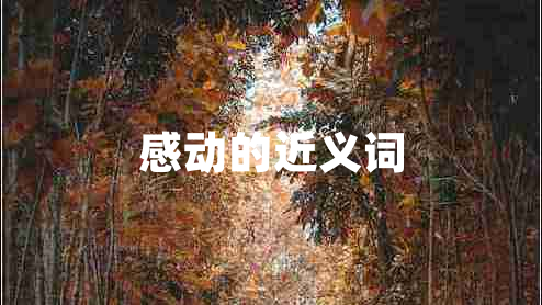 感动的近义词
