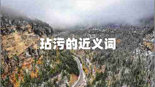 玷污的近义词