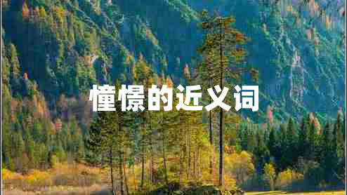 憧憬的近义词