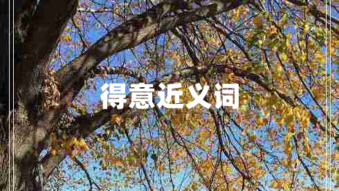 得意近义词